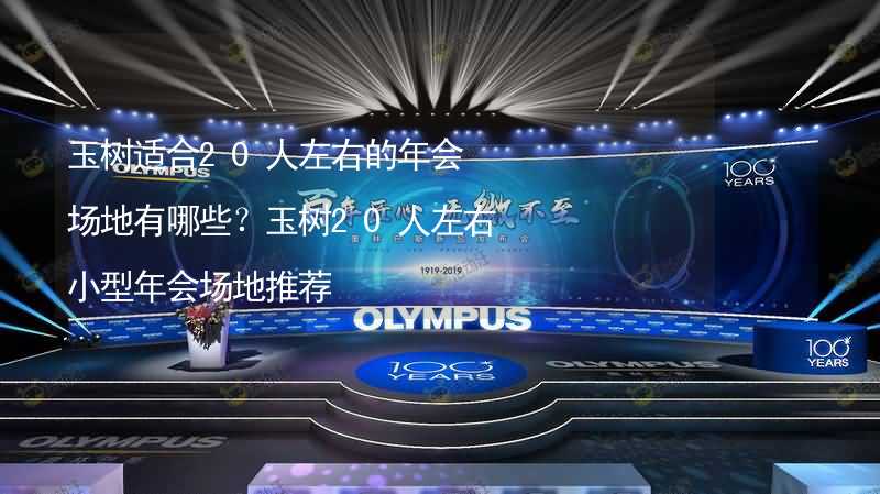 玉树适合20人左右的年会场地有哪些？玉树20人左右小型年会场地推荐_1