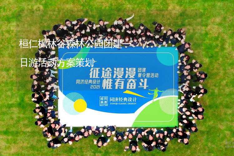 桓仁枫林谷森林公园团建一日游活动方案策划