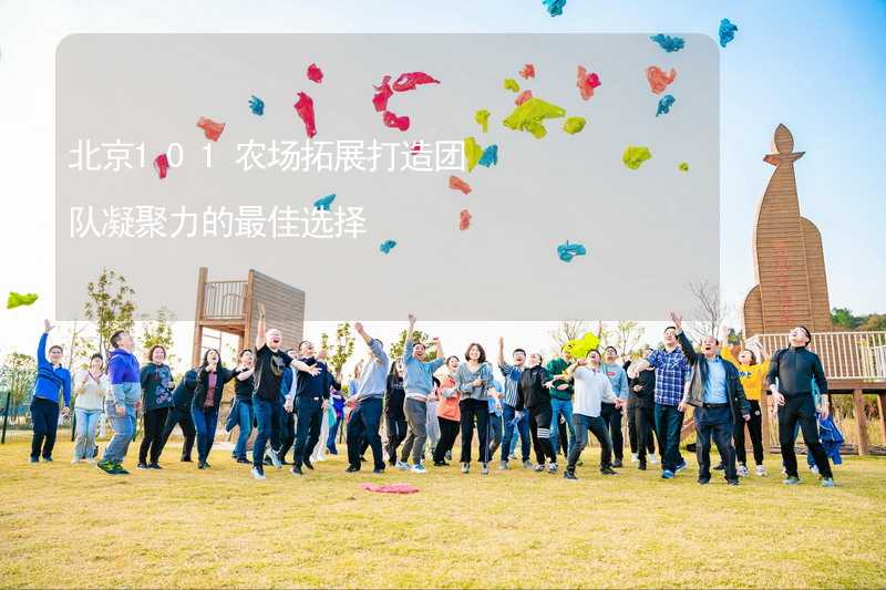 北京101农场拓展打造团队凝聚力的最佳选择