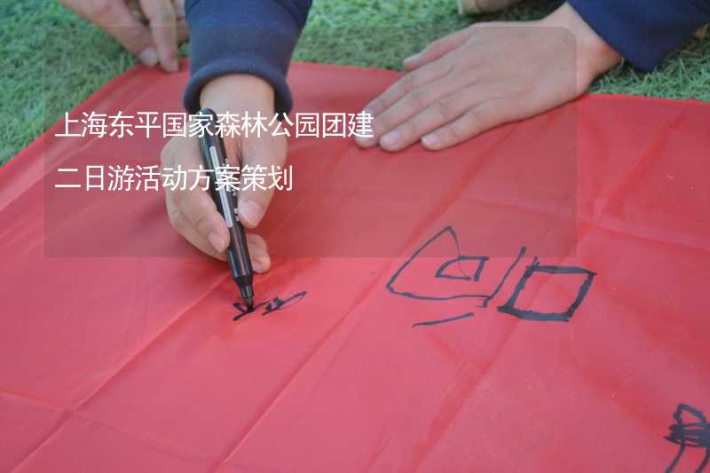 上海东平国家森林公园团建二日游活动方案策划_2