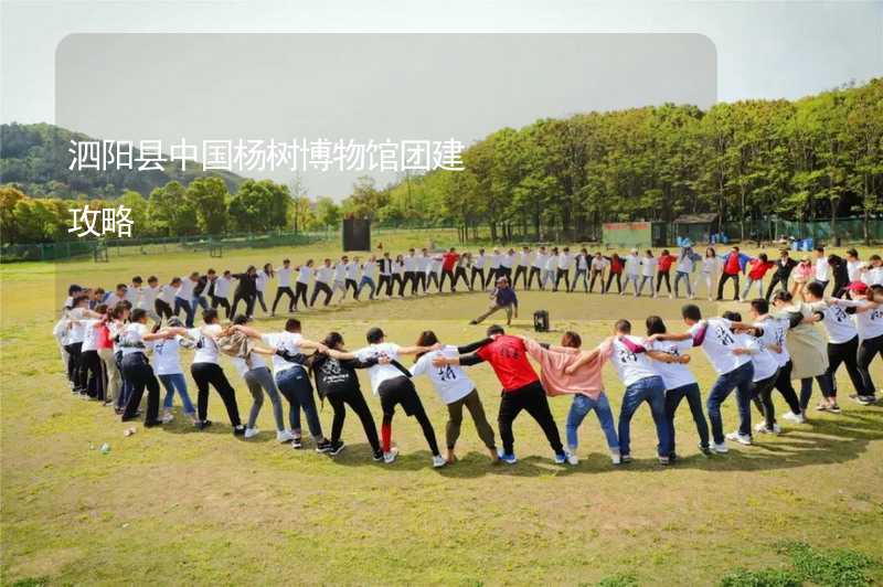 泗阳县中国杨树博物馆团建攻略