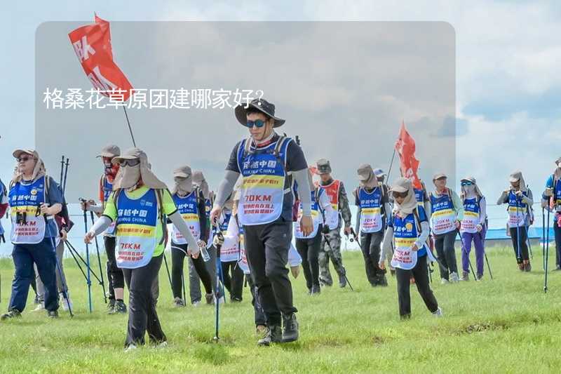 格桑花草原團建哪家好？_2