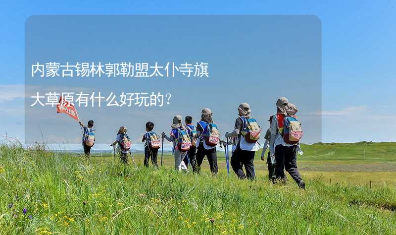 内蒙古锡林郭勒盟太仆寺旗大草原有什么好玩的？