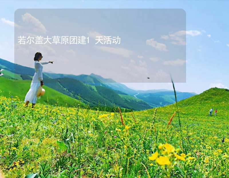 若尔盖大草原团建1天活动_1