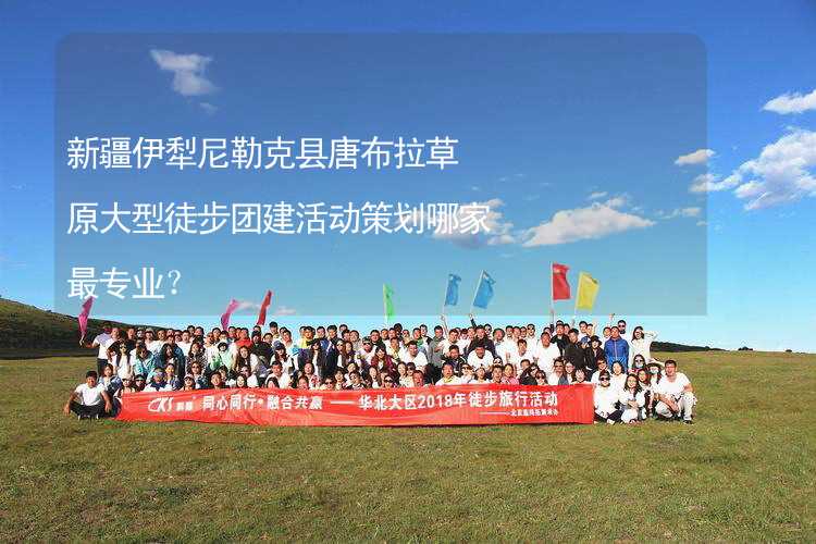 新疆伊犁尼勒克县唐布拉草原大型徒步团建活动策划哪家最专业？