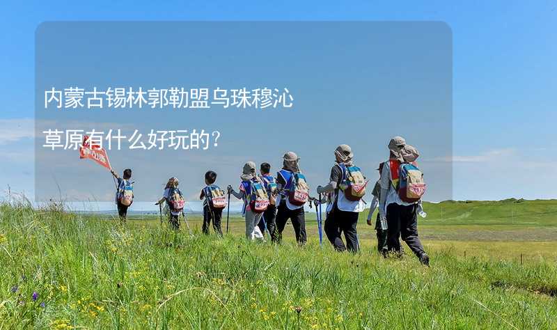 内蒙古锡林郭勒盟乌珠穆沁草原有什么好玩的？