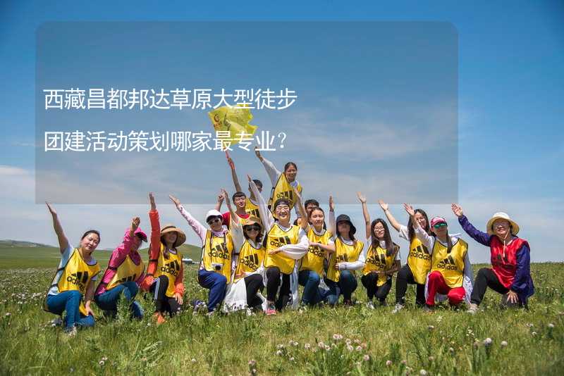 西藏昌都邦达草原大型徒步团建活动策划哪家最专业？
