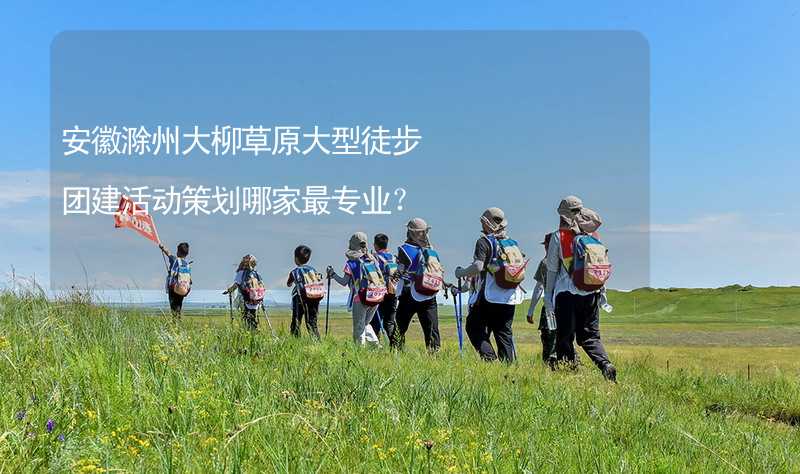安徽滁州大柳草原大型徒步团建活动策划哪家最专业？