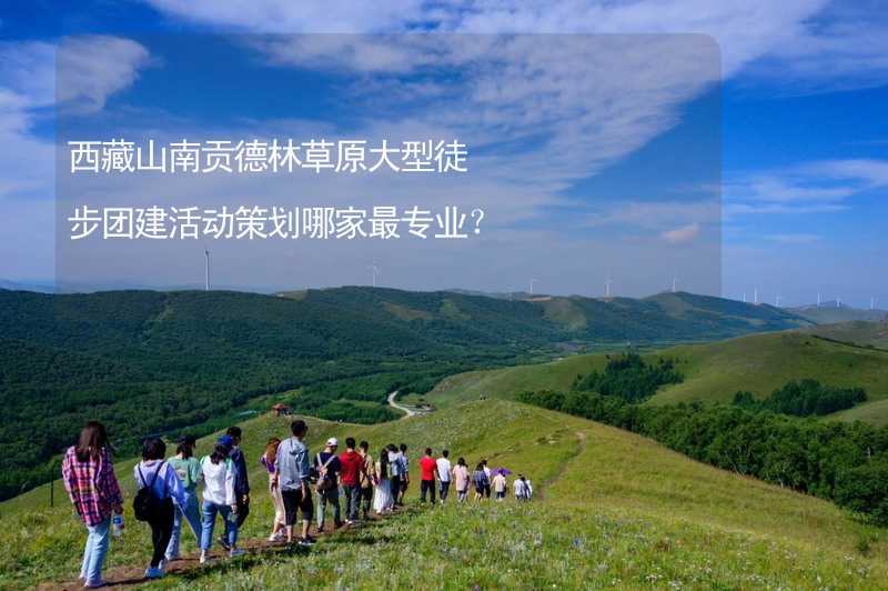 西藏山南贡德林草原大型徒步团建活动策划哪家最专业？_1