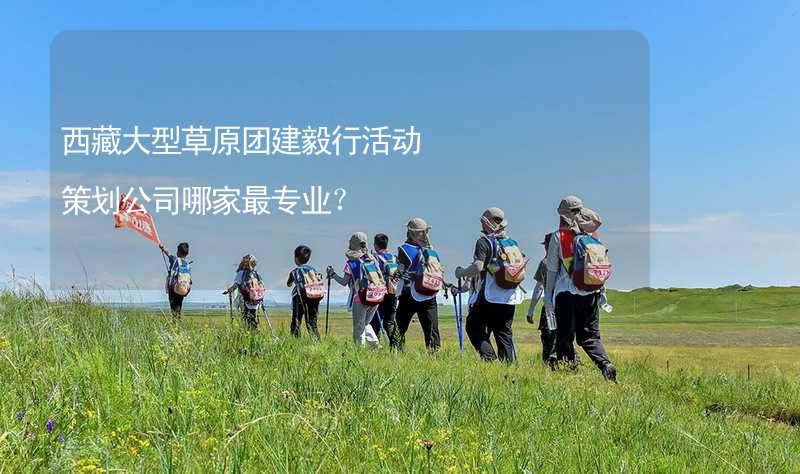 西藏大型草原团建毅行活动策划公司哪家最专业？