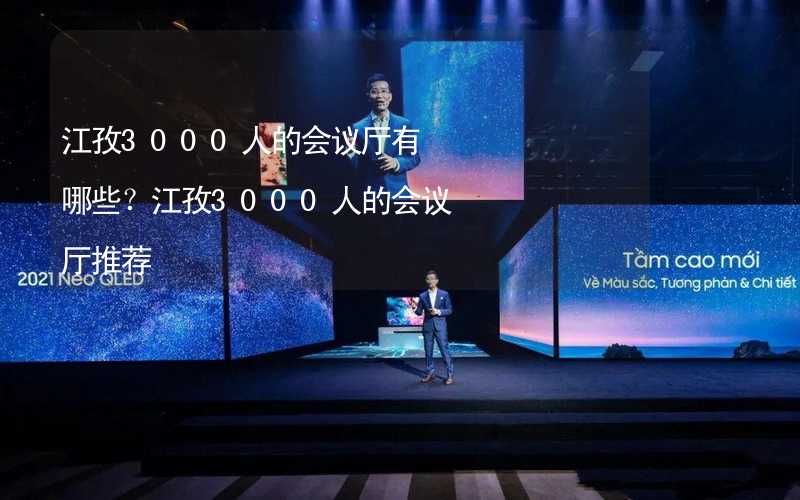 江孜3000人的会议厅有哪些？江孜3000人的会议厅推荐_2