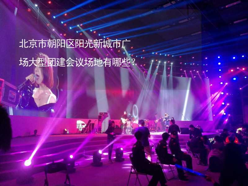 北京市朝阳区阳光新城市广场大型团建会议场地有哪些？