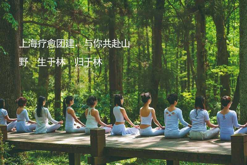 上海疗愈团建，与你共赴山野 生于林 归于林
