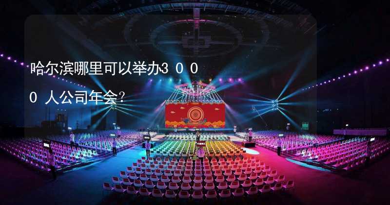 哈尔滨哪里可以举办3000人公司年会？_2