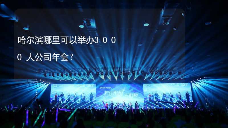 哈尔滨哪里可以举办3000人公司年会？_1