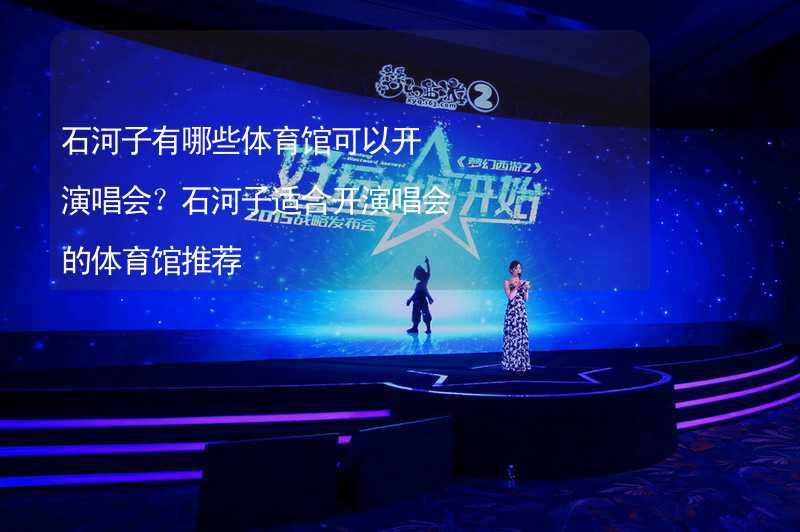 石河子有哪些体育馆可以开演唱会？石河子适合开演唱会的体育馆推荐_2