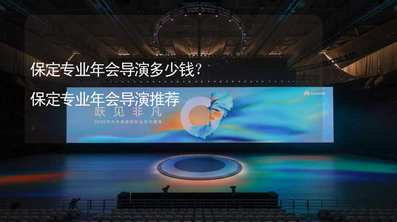 保定专业年会导演多少钱？保定专业年会导演推荐_2