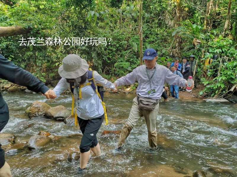 去茂蘭森林公園好玩嗎？_1