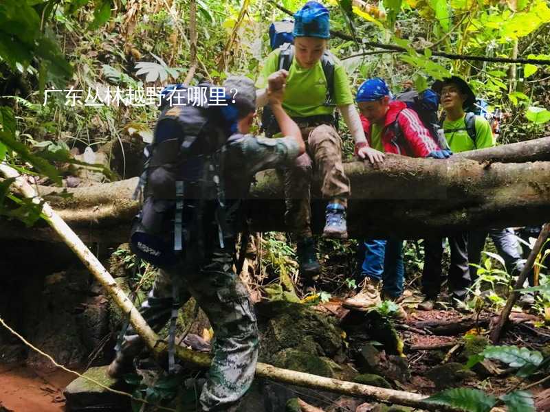 廣東叢林越野在哪里？_1