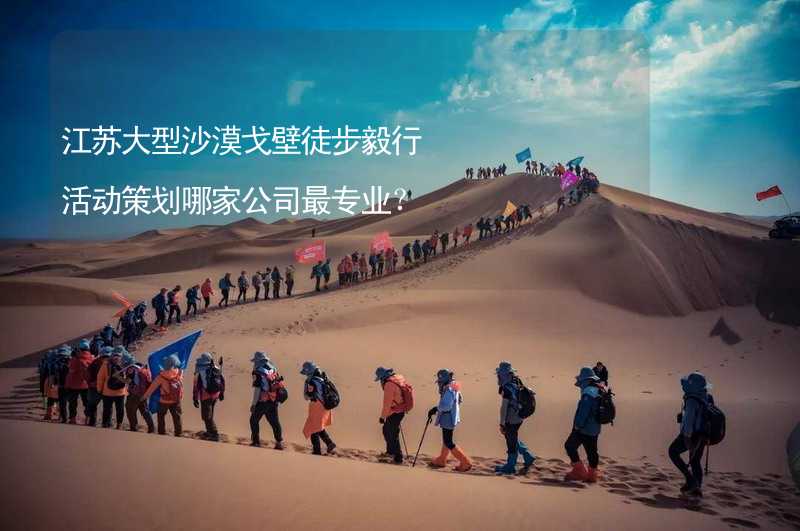 江苏大型沙漠戈壁徒步毅行活动策划哪家公司最专业？
