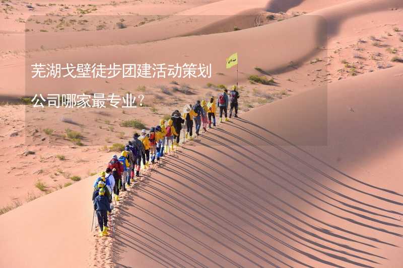 芜湖戈壁徒步团建活动策划公司哪家最专业？