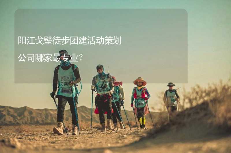 阳江戈壁徒步团建活动策划公司哪家最专业？