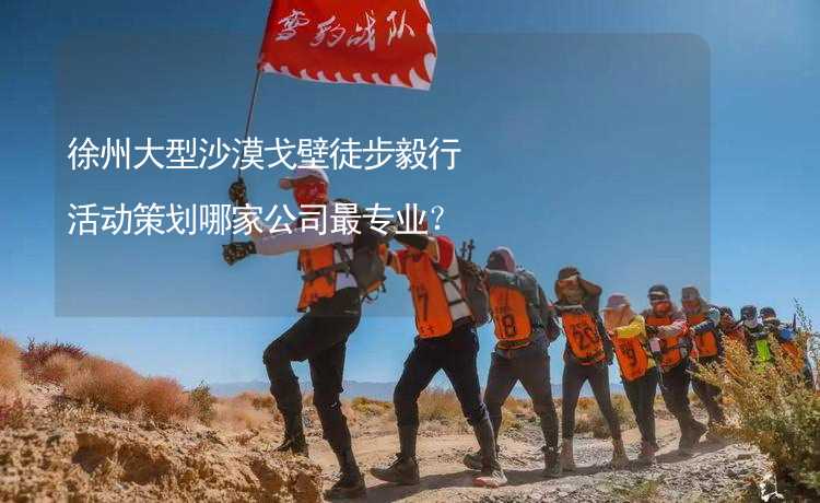 徐州大型沙漠戈壁徒步毅行活动策划哪家公司最专业？