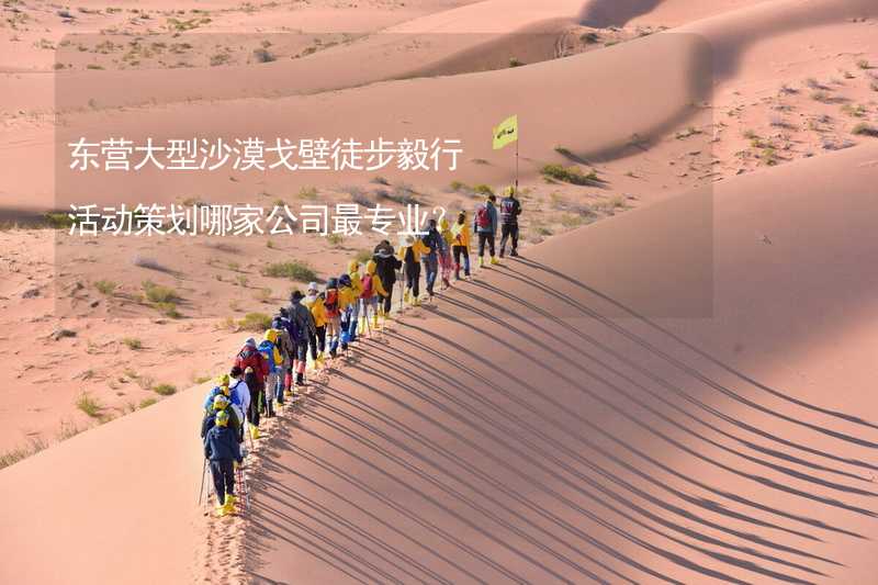 东营大型沙漠戈壁徒步毅行活动策划哪家公司最专业？