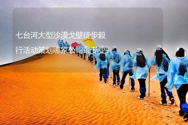 七台河大型沙漠戈壁徒步毅行活动策划哪家公司最专业？