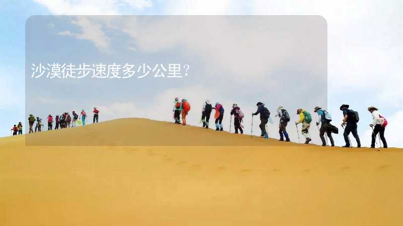 沙漠徒步速度多少公里？