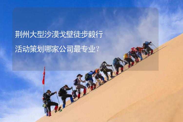 荆州大型沙漠戈壁徒步毅行活动策划哪家公司最专业？_2