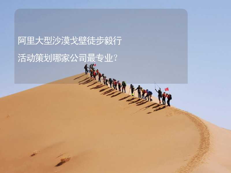 阿里大型沙漠戈壁徒步毅行活动策划哪家公司最专业？