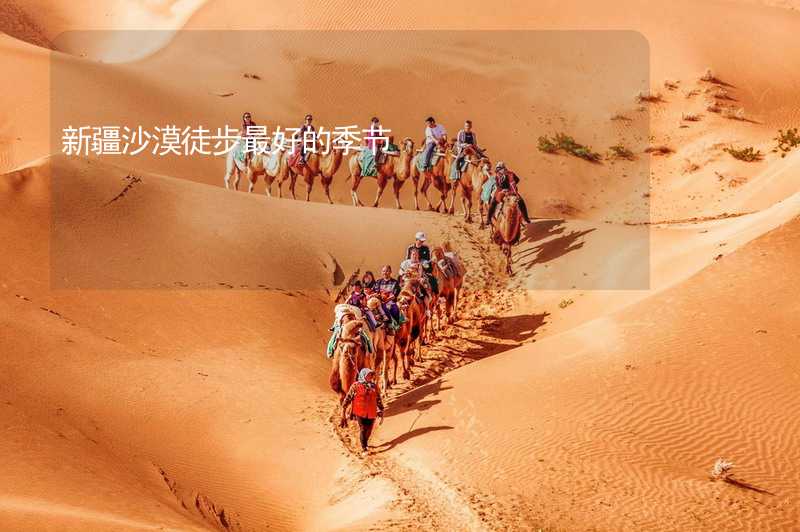 新疆沙漠徒步最好的季节_2