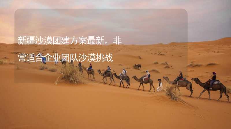 新疆沙漠团建方案最新，非常适合企业团队沙漠挑战