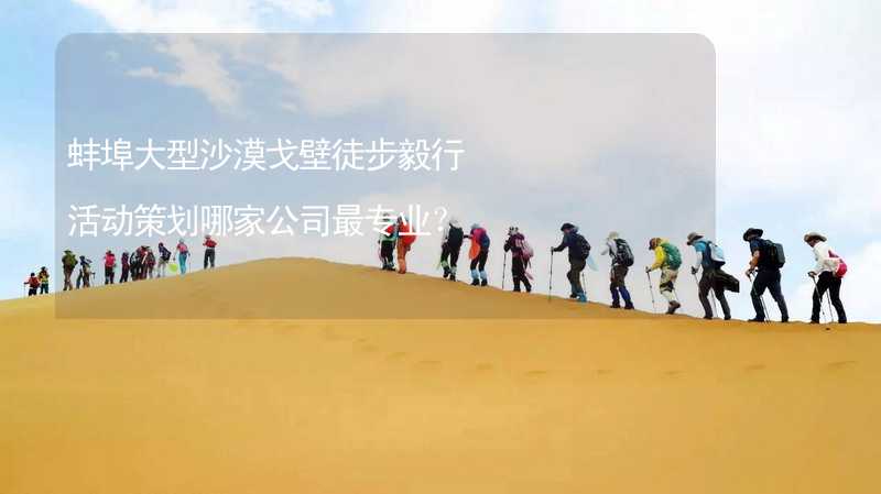 蚌埠大型沙漠戈壁徒步毅行活动策划哪家公司最专业？_2