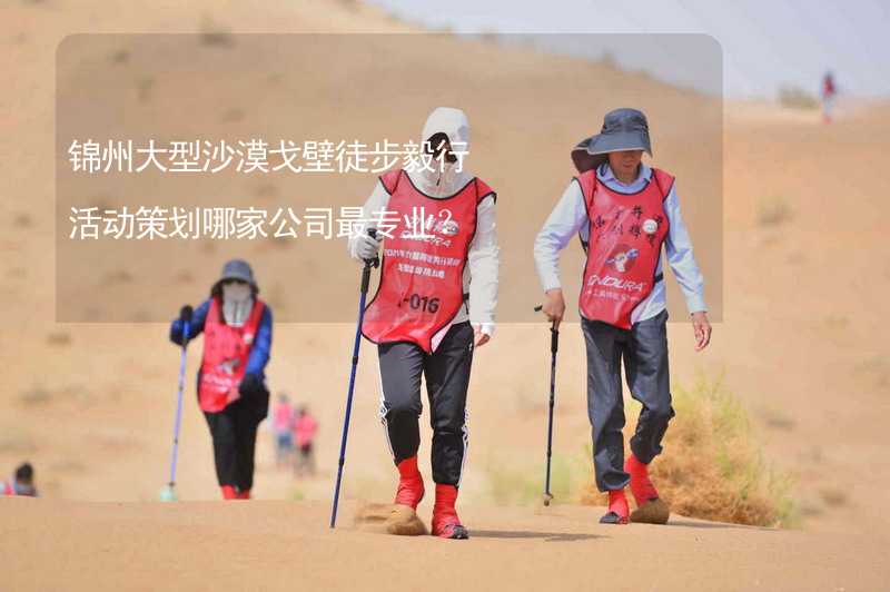 锦州大型沙漠戈壁徒步毅行活动策划哪家公司最专业？
