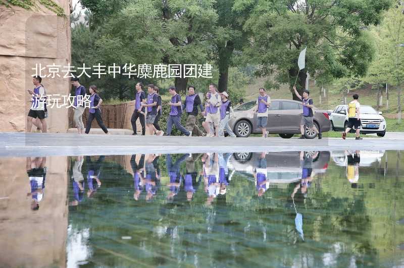 北京去大丰中华麋鹿园团建游玩攻略