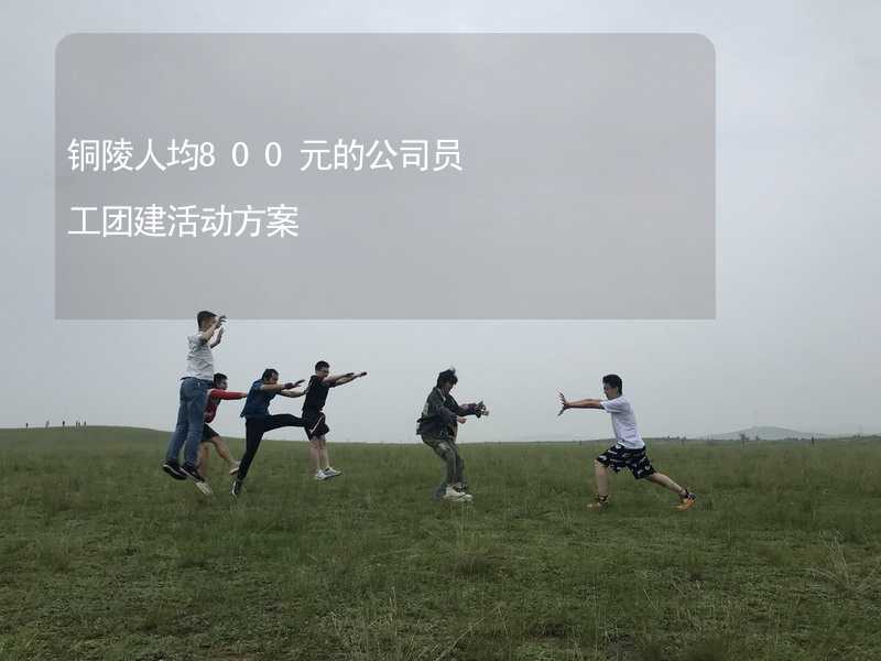 铜陵人均800元的公司员工团建活动方案