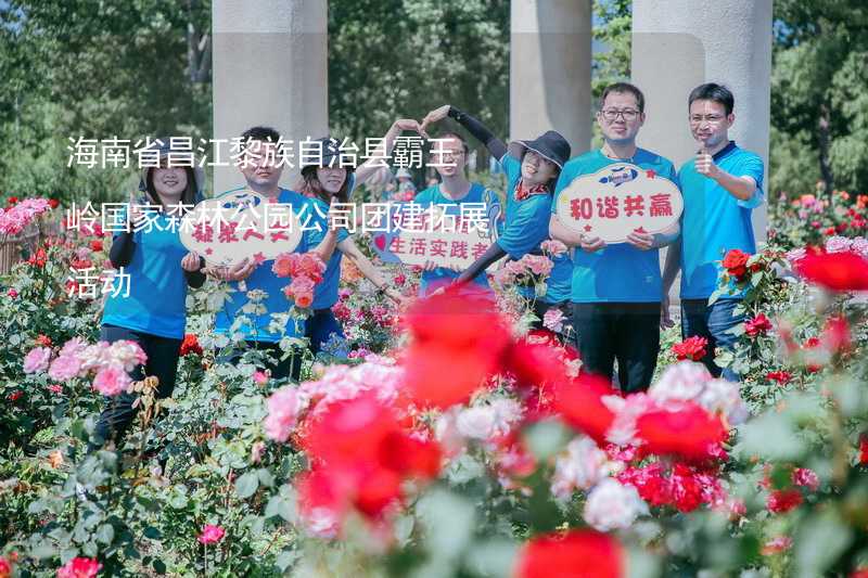 海南省昌江黎族自治縣霸王嶺國家森林公園公司團(tuán)建拓展活動_1