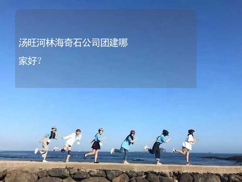 汤旺河林海奇石公司团建哪家好？_2