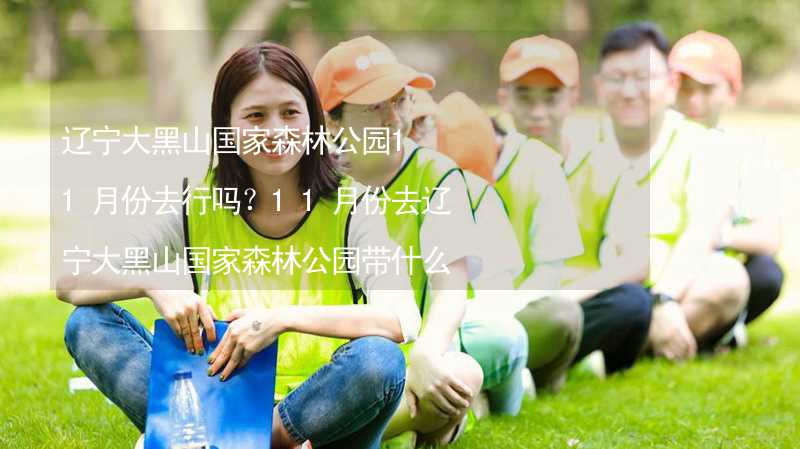 遼寧大黑山國家森林公園11月份去行嗎？11月份去遼寧大黑山國家森林公園帶什么衣服穿什么衣服？_2