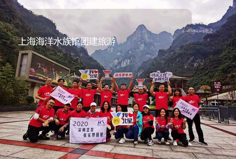 上海海洋水族馆团建旅游_2