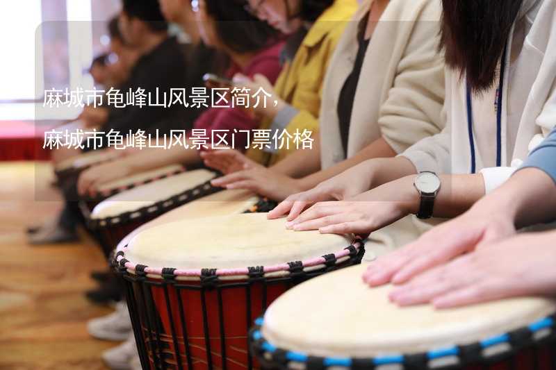 麻城市龟峰山风景区简介，麻城市龟峰山风景区门票价格_1