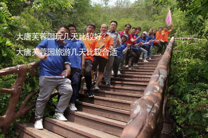 大唐芙蓉園玩幾天比較好？大唐芙蓉園旅游幾天比較合適？_2