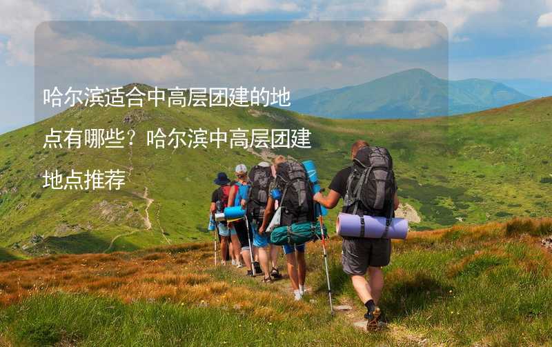 哈尔滨适合中高层团建的地点有哪些？哈尔滨中高层团建地点推荐_2