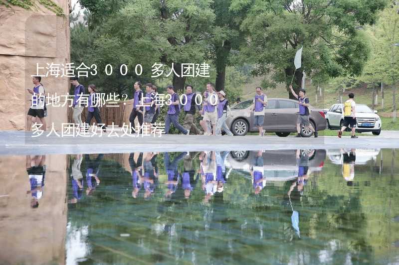 上海适合3000多人团建的地方有哪些？上海3000多人团建好去处推荐_2