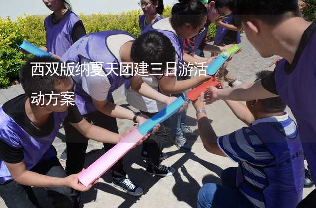 西雙版納夏天團建三日游活動方案_2