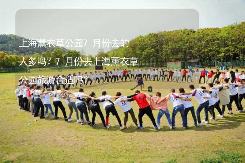 上海薰衣草公园7月份去的人多吗？7月份去上海薰衣草公园旅游合适吗？_1