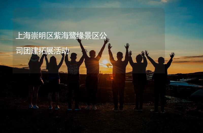 上海崇明区紫海鹭缘景区公司团建拓展活动