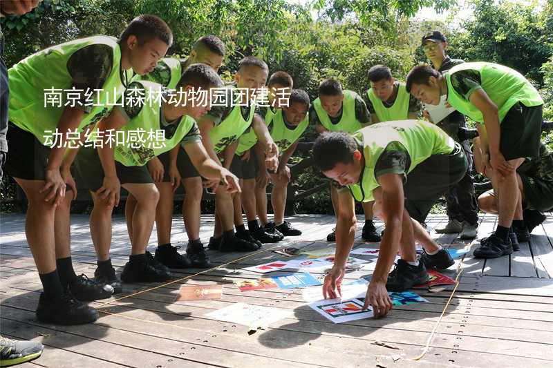 南京红山森林动物园团建活动总结和感想